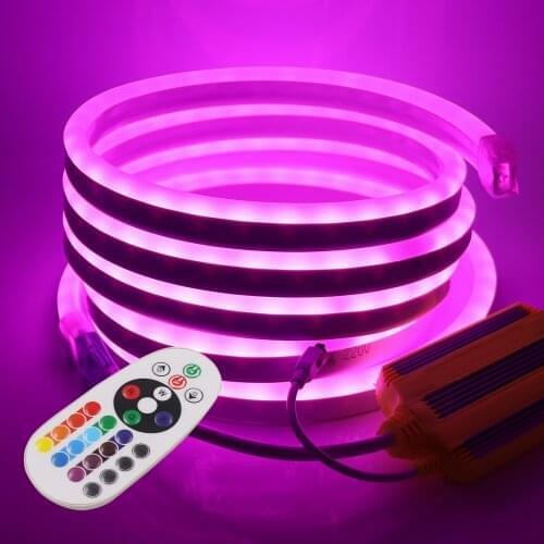 220V RGB Neon LED Strip Light 5050 2835 24key Remote Control 1500W Controller Flexible Rope Lights Waterproof Outdoor Decoration