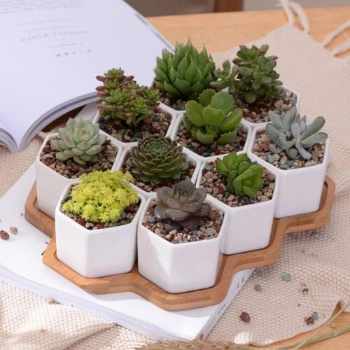 Set of 10 Hexagon Flowerpots White Ceramic Succulent Plant Pot with Bamboo Stand Bonsai Planter Garden Supply