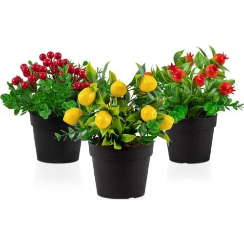 Set of 3 Black Mini Plastic Pot with Artificial Kokina, Lemon and Pomegranate Flower
