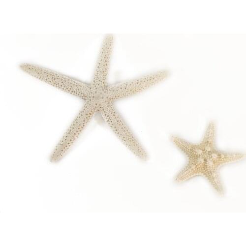 10PCS Starfishes Ocean Beach Starfish for Wedding Decor Beach Theme Party, Home Decorations,DIY Crafts, Fish Tank