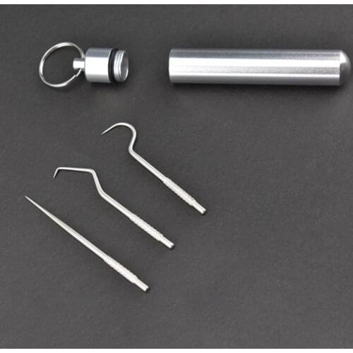 3PCs/set Stainless Steel Toothpick Metal Toothpick Holder Portable Outdoor Dispenser Dental Tools With Reusable Food Fruit Picks