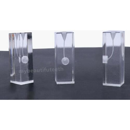 10Pcs Dental Blocks Files Practice Root Canal Pulp Replicas Student Practise