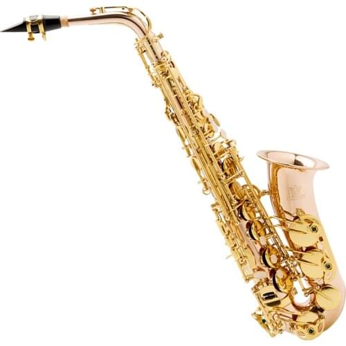 FLOFAIR FAS-788 Western Orchestral Instruments Phosphor Brass, Alto Saxophone, E Flat band Performance Test, Beginners Practice