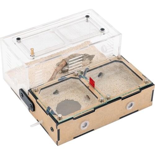 New Concrete Ant Farm with Water Tower Unlimited Expansion Ants Nest Highly Moisturizing Ant House Anthill Workshop Insect Box