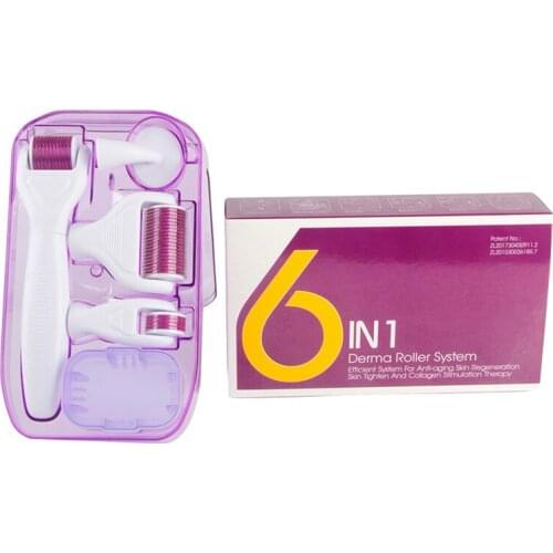 Hot Sale DRS 6 in 1 Derma Roller 12/300/720/1200 Needles MicroNeedle Therapy Dermaroller Kits For Skin Care