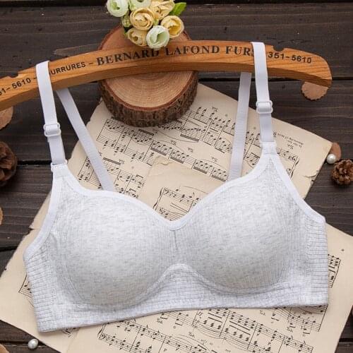 Girls Underwear No Steel Ring Pure Cotton Thin Section Small Chest Gather Bra Student Developmental Girl Bra