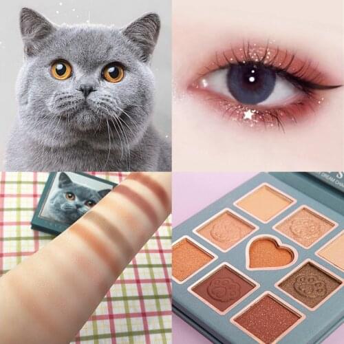 9 Colors Pearly Matte Glitter Glitter Eyeshadow Lasting Professional Makeup Glazed Neon Color Waterproof Eyeshadow Palette TSLM2