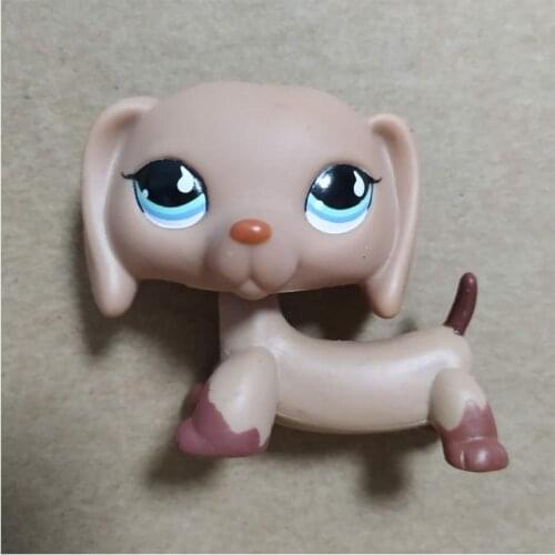 Hasbro Littlest Pet Shop Dachshund Doll Anime Pet Dog Action Figure Model Toys Collection Q Version Big Eyes Animals Kids Toy