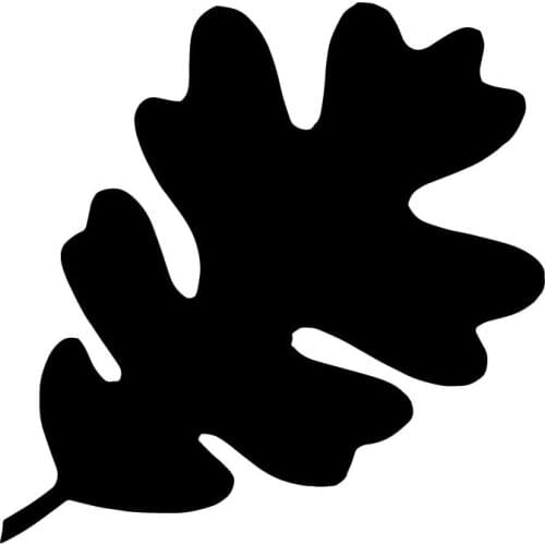 15.9X15.9CM Oak Leaf Scratch Decoration Cartoon Car Sticker Vinyl Decals Accessories