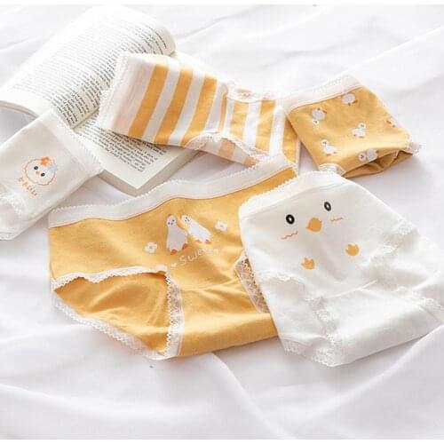 Cotton Kid Underwear Girls Panties Cute Childrens Briefs Underpants Teenager Underwear Breathable Panties for Girl 12-16Y