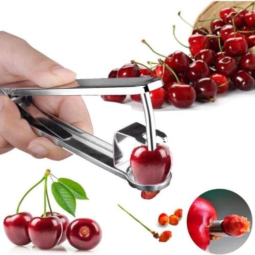 Handheld Cherry Pitter Fruit Red Date Jujube Core Remover Corer Kitchen Tool