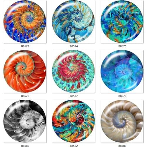 Nautilus Shell Pretty 10pcs Mixed Glass Cabochon Round Chunks 12mm/18mm/20mm/25mm jewelry Flat Back Making Findings B8573