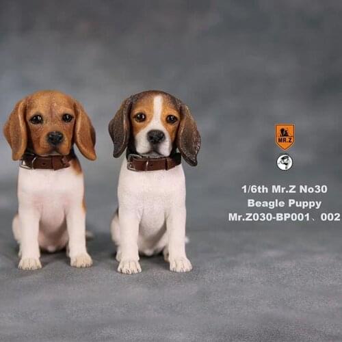 1/6 scale Mr.Z No.30 Beagle Puppy BP001/BP002 Dog simulation animal model toy For 12 inches action figure doll car decoration