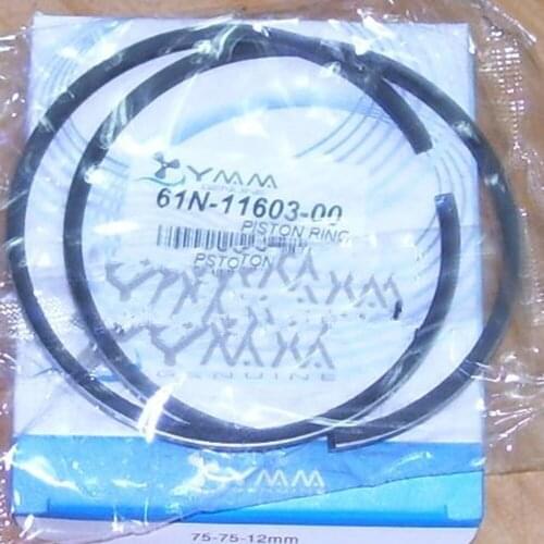 Free shipping boat engines part piston ring for Yamaha2 stroke 30 HP outboard motor 1 unit