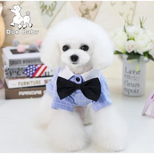 Pet Dog Clothes Teddy T-shirt Spring Summer Autumn Pet Clothes Cute Blue Pink Cloth For Dogs одежда для собакодежда для ж