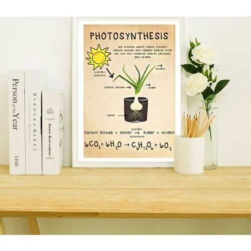 Biology Photosynthesis Canvas Print Science Poster Educational Wall Art Picture Biology Vintage Canvas Painting Chart Study Room