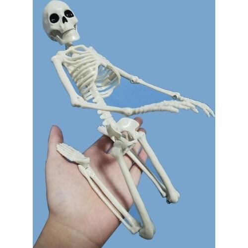 Skeleton simulation plastic decoration secret room haunted house props decoration doctor laboratory learning utensils 1 Pcs