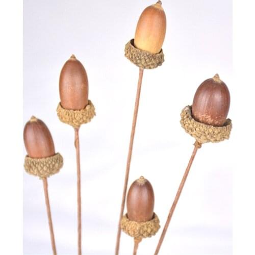 Natural Acorn Berries Dried Flower Dried Fruit Arrangement Wild Acorn Artificial Dried Flowers Home Christmas Holiday Decoration