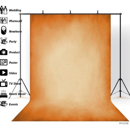 Light Color Abstract Old Master Poster Portrait Photography Background Baby Shower Texture Wall Wedding Photo Studio Backdrop