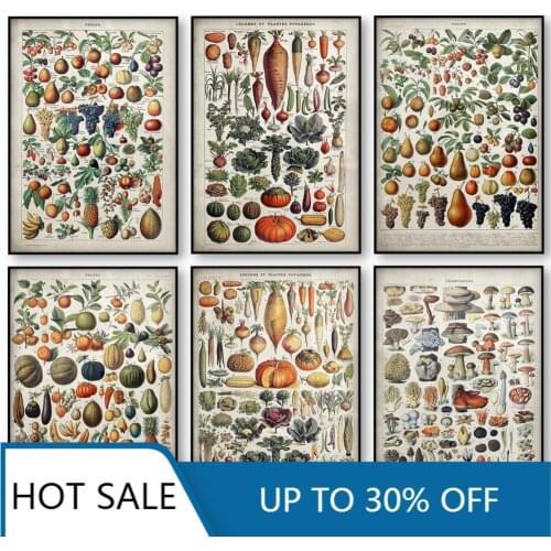 Christmas Canvas Painting Vintage Vegetable Fruit Mushroom PosterAntique Print Botanical Picture Science Poster Kitchen Decor