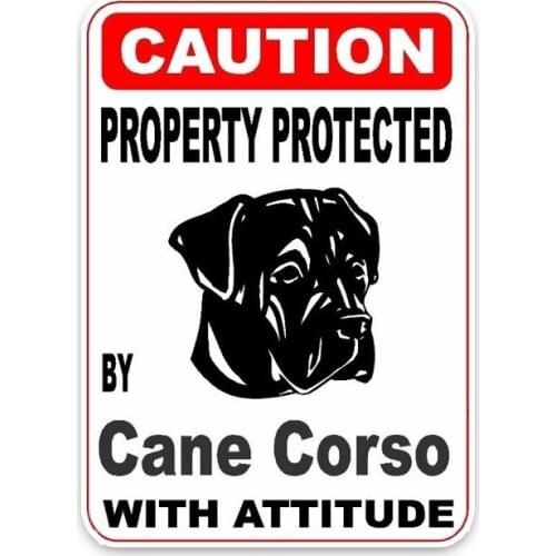 10*14.2CM Property Protected By Cane Corso Dog Reflective Personality Car Sticker C1-4516