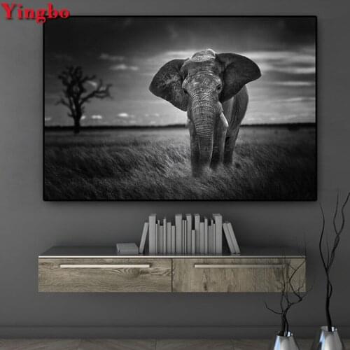 Full Square/Round Drill 5D DIY Diamond Painting black white African Rhinestones Embroidery animal Cross Stitch Mosaic crafts
