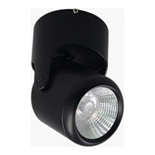 Free Shipping Dimmable 10W Warm White/White/Cold White surface mounted led spot lamp AC85~265V high brightness Led down light