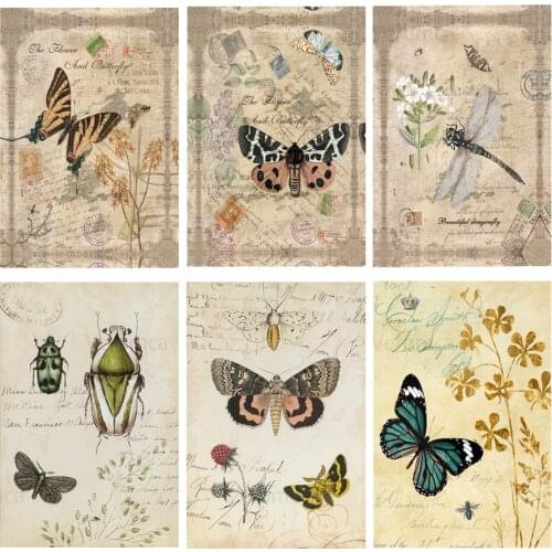 Insect Specimen Butterfly Dragonfly Vintage Tin Sign Wall Art Metal Poster Iron Plate Retro Plaque Club Bar Pub Home Decoration