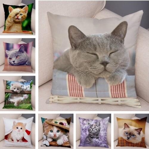 Funny Cute Cat Pillowcase Decor Lovely Pet Animal Print Pillow Case Super Soft Plush Cushion Cover for Car Sofa Home 45x45cm