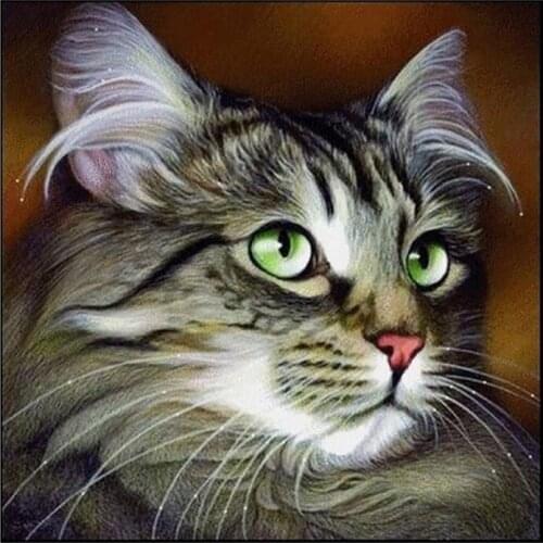 5D DIY Diamond Painting Animal Diamond Mosaic Embroidered Cat Pattern Hobbies & Crafts Home Decoration Gifts