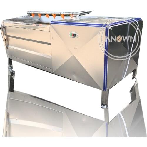 Stainless Steel Customized 1.5 m Industrail Automatic Bubble Washer Cleaner Machine for Apple Fruit and Vegetables