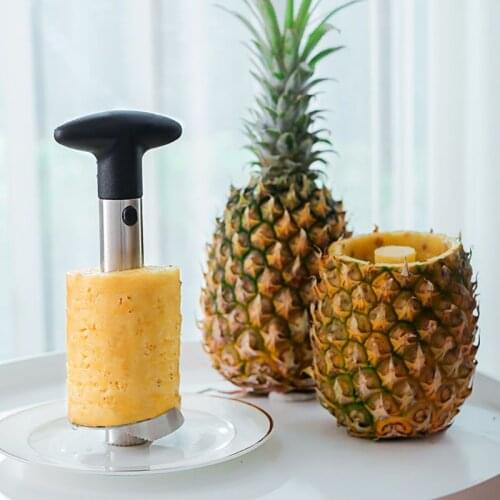 Easy Kitchen Tool Stainless Steel Pineapple Fruit Corer Slicer Cutter Peeler New