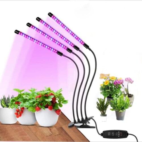 ZOLGKKJ LED Plant Lamps