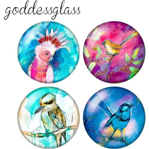 New Painting style Birds parrot Hummingbird 10pcs 12mm/18mm/20mm/25mm/30mm Round photo glass cabochon flat back Making findings