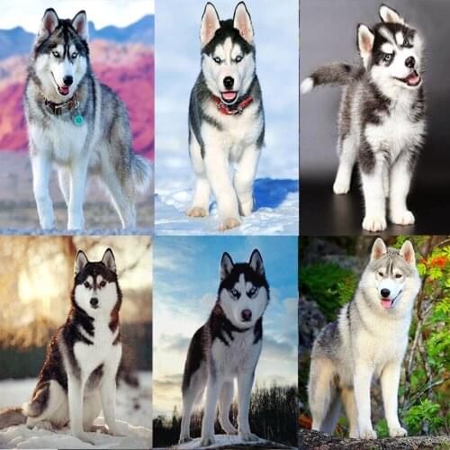 New product 5D DIY full diamond embroidery "Husky dog landscape animal" diamond painting cross stitch home gift