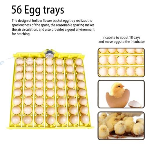 48,56 Egg Capacity,Motor Egg tray, Egg Layer Plastic Pallet Turnover Box Poultry Equipment