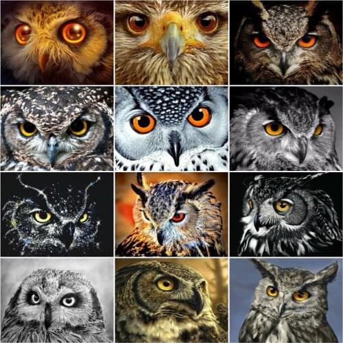 AZQSD Paint By Number Owl Animal Handpainted Unique Gift Oil Painting By Numbers Eyes Kits Modern Wall Artworks