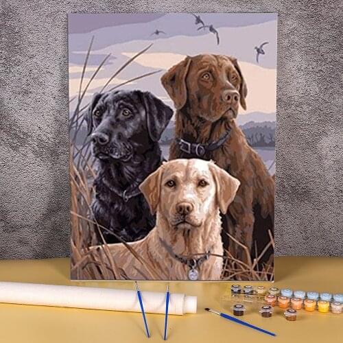 Animal Dog Labrador Coloring By Numbers Painting Set Oil Paints 40*50 Painting On Canvas Wall Paintings For Handicraft