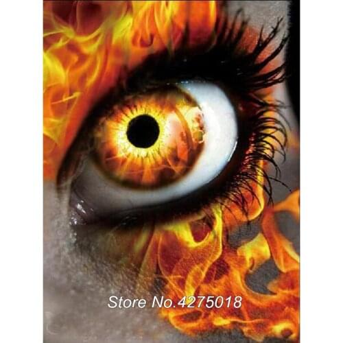 Full Square/Round Drill 5D DIY Diamond Painting Fire eyes diamond Embroidery sale Cross Stitch,Mosaic,wall stickers YG694