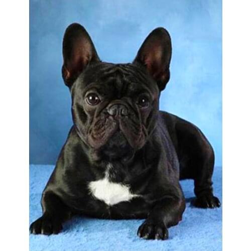 DIY Square Diamond Embroidery French Bulldog 5D Full Drill Diamond Painting Pet Dog Rhinestone Handmade Gift Stickers Home Decor