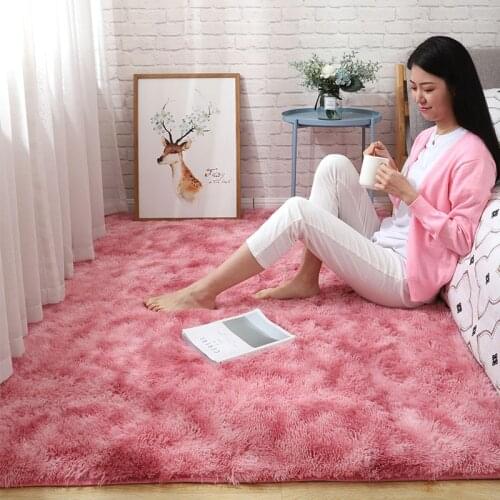 Bedroom carpet living room coffee table carpet plush thickened home rug sofa mat bedside girl carpet encryption thickened rug