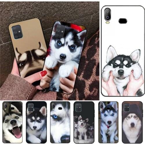Animal Husky cute Puppy Dog Custom Soft Phone Case For Samsung Galaxy A21S A01 A11 A31 A81 A10 A20E A30 A40 A50 A70 A80 A71 A51