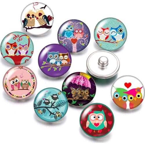 DB0469 Couple Owls Lovely owl 18mm snap buttons 10pcs mixed round photo glass cabochon style for snap button jewelry