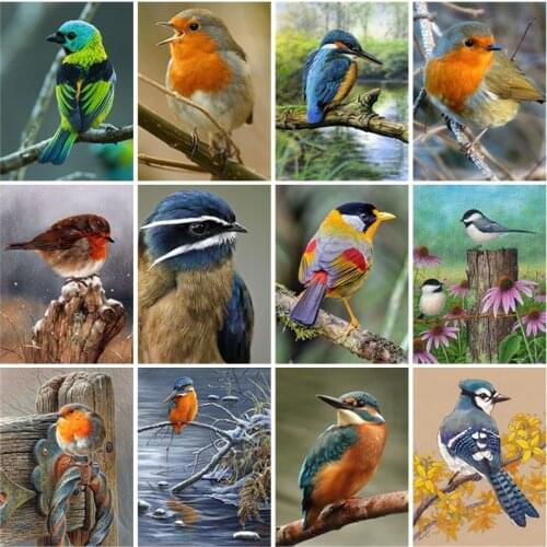 5D Diamond Painting Full Square Drill Birds DIY Diamond Embroidery Animal Resin Picture Mosaic Cross Stitch Wall Art Home Decor