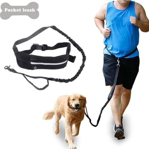 2021 Hot Sale Reflective Leash Traction Rope Pet Dog Running Belt Elastic Hands Freely Jogging Pull Dog Leash Leashes Supplier