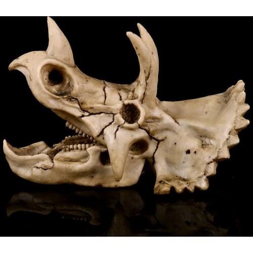 High precision resin crafts Triceratops officeup dinosaur skull model diplodocus head statue home decoration