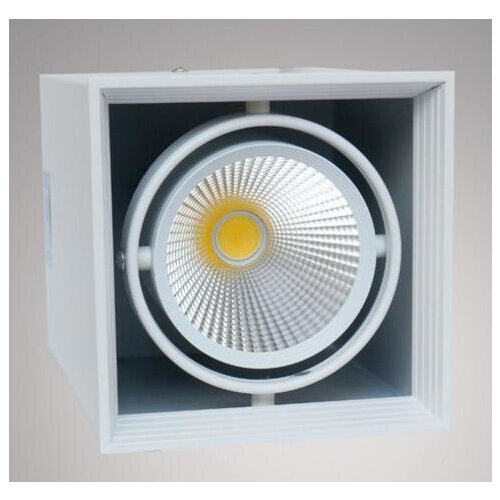 Free Shipping Dimmable 2*10W / 10W COB LED Downlight Bean Pot Lamp Surface Mounted LED Ceiling Lamp Warm Cold White CE RoHS