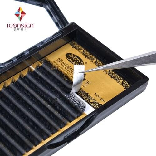 ICONSIGN Goods For Tourism