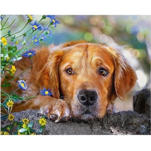 Daisy Flore Diamond Painting Labrador Dog Diamond Dots Mosaic Embroidery Picture Crystal Rhinestone Sticker Decal Wall Art Craft