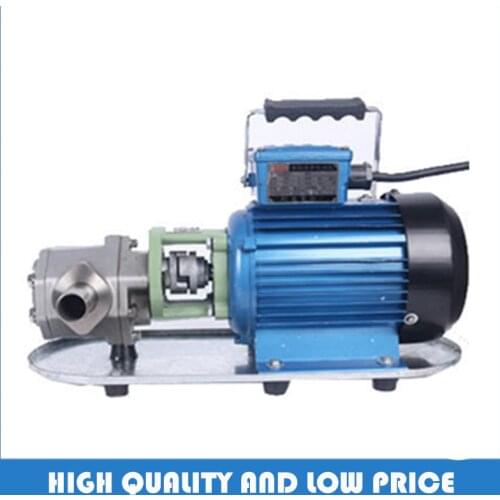 WCB-75p stainless steel protable food lube oil pump